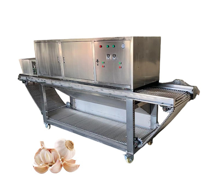 链条式2000kg大蒜脱皮生产线